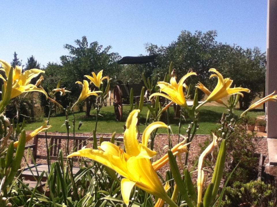 Solar Del Pago Hotel San Antonio de Areco Exterior photo